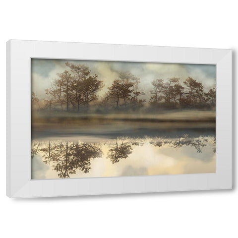 Foggy Morning River White Modern Wood Framed Art Print by Bereczki, Barna