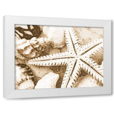 Starfish Impression White Modern Wood Framed Art Print by Anonymous
