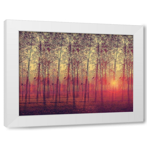 Poplar Trees in the Setting Sun White Modern Wood Framed Art Print by Anonymous