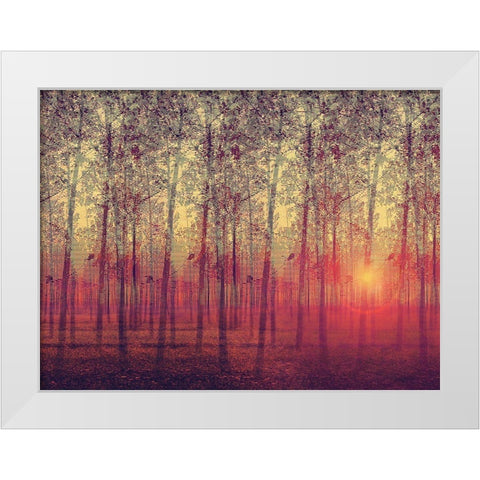 Poplar Trees in the Setting Sun White Modern Wood Framed Art Print by Anonymous