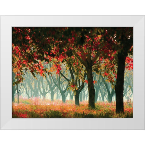 Fall Forest White Modern Wood Framed Art Print by Zsolnai