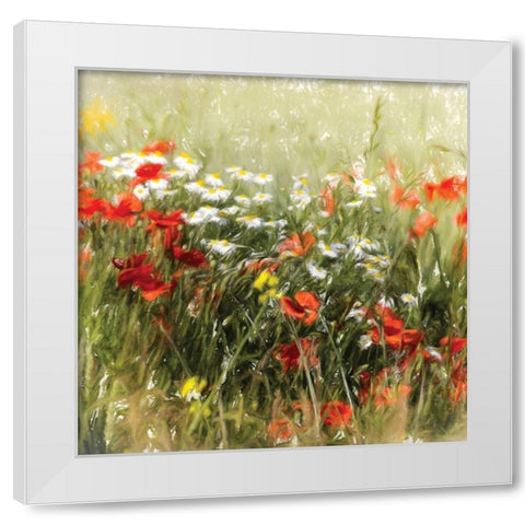 Poppy Field White Modern Wood Framed Art Print by Cottingham, J.