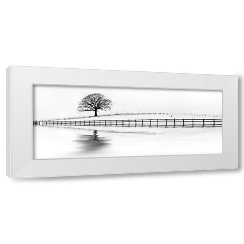 Winter Oak in a Field White Modern Wood Framed Art Print by Barbone, M.