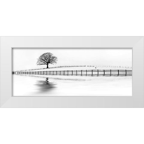 Winter Oak in a Field White Modern Wood Framed Art Print by Barbone, M.