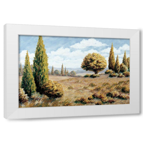 Windswept Valley White Modern Wood Framed Art Print by Unknown