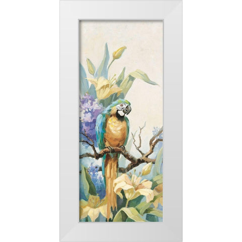 Parrot Panel I White Modern Wood Framed Art Print by Unknown