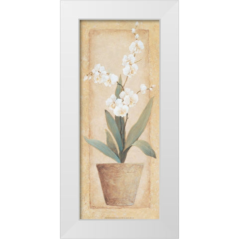 Potted Amarylis White Modern Wood Framed Art Print by Unknown