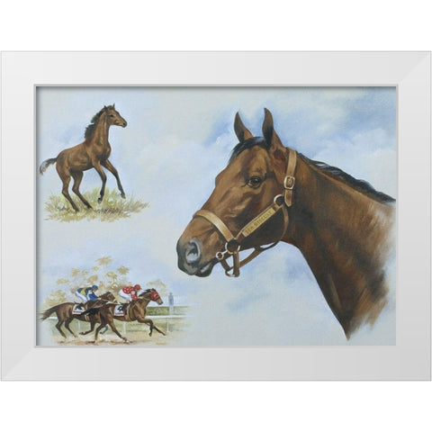 Thoroughbred I White Modern Wood Framed Art Print by Unknown