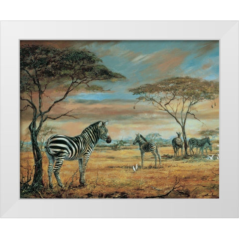 Savanne Zebras White Modern Wood Framed Art Print by Unknown