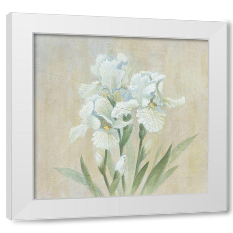 White Gladiola White Modern Wood Framed Art Print by Unknown