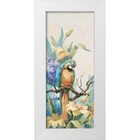 Parrot Panel II White Modern Wood Framed Art Print by Unknown