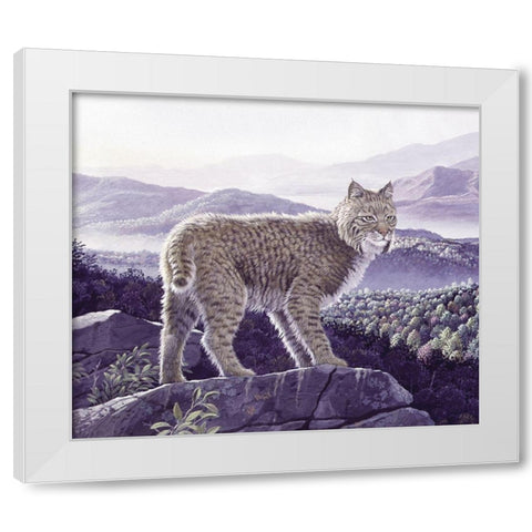 Bobcat White Modern Wood Framed Art Print by Unknown