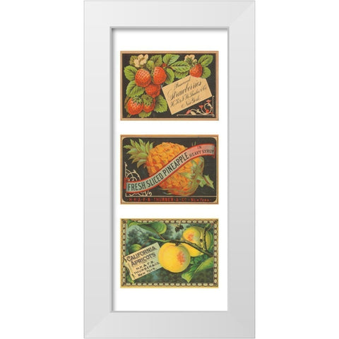 Strawbwerries-Pineapple-Apricots White Modern Wood Framed Art Print by Unknown