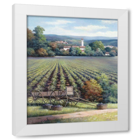 Vineyards I White Modern Wood Framed Art Print by Unknown