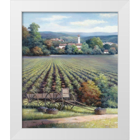 Vineyards I White Modern Wood Framed Art Print by Unknown