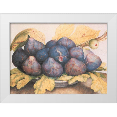 Figs White Modern Wood Framed Art Print by Unknown