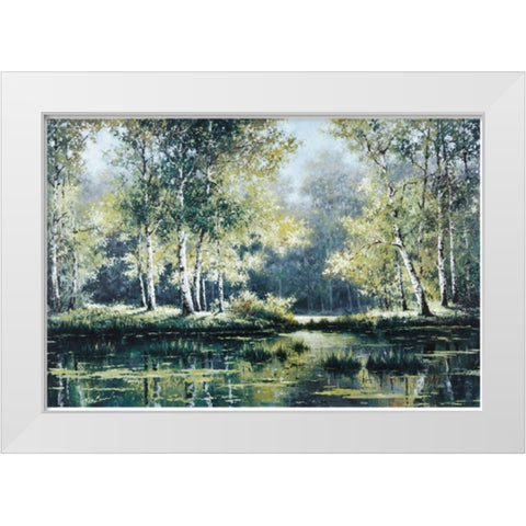 Great Swamp White Modern Wood Framed Art Print by Unknown