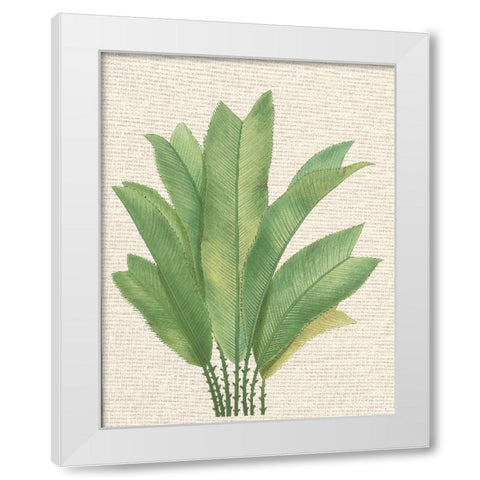 Palm Fronds I White Modern Wood Framed Art Print by Unknown