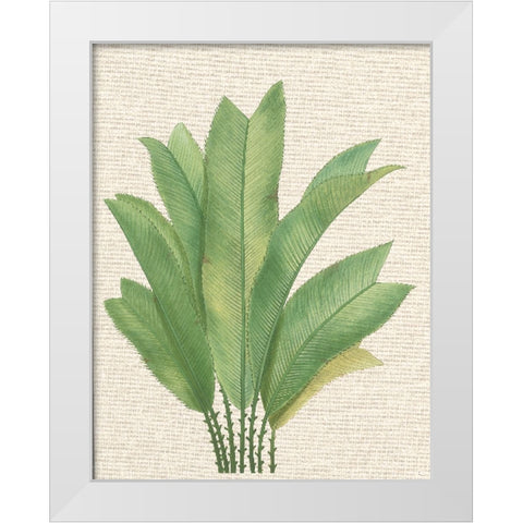 Palm Fronds I White Modern Wood Framed Art Print by Unknown