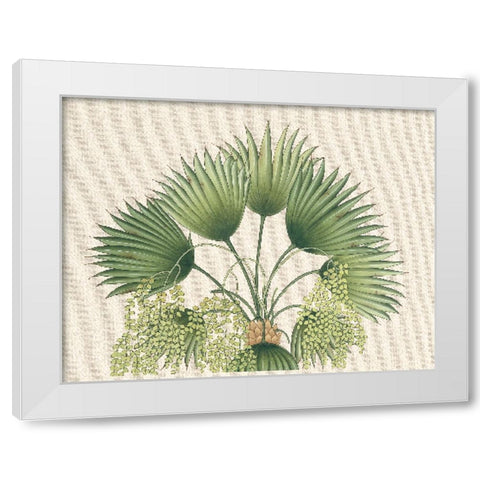Palm Fronds II White Modern Wood Framed Art Print by Unknown