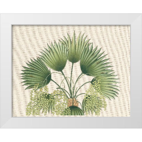 Palm Fronds II White Modern Wood Framed Art Print by Unknown
