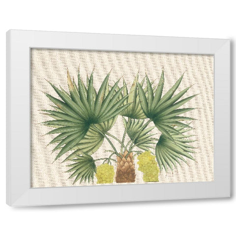 Palm Fronds III White Modern Wood Framed Art Print by Unknown