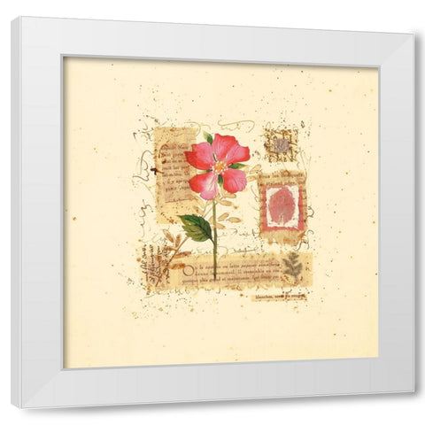 Parisian Pansy II White Modern Wood Framed Art Print by Unknown