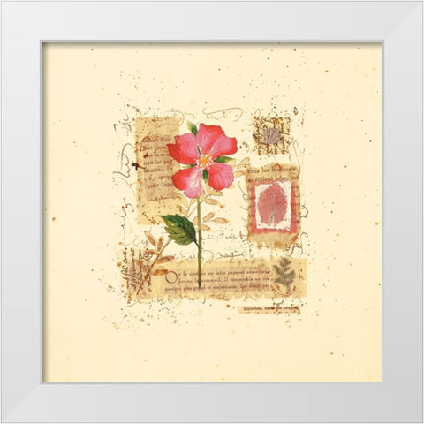 Parisian Pansy II White Modern Wood Framed Art Print by Unknown