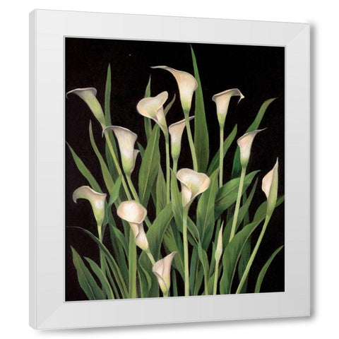 Lily I White Modern Wood Framed Art Print by Unknown