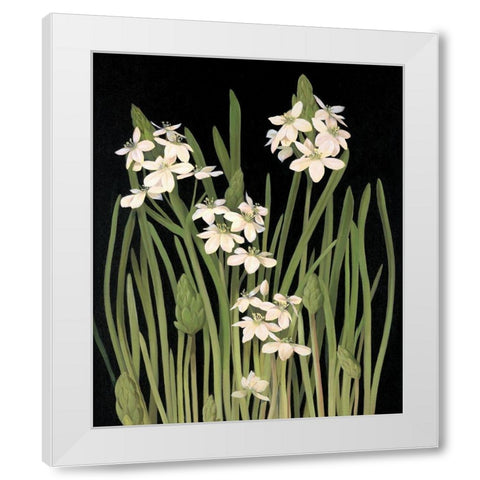 Lily II White Modern Wood Framed Art Print by Unknown