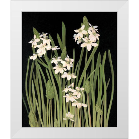 Lily II White Modern Wood Framed Art Print by Unknown