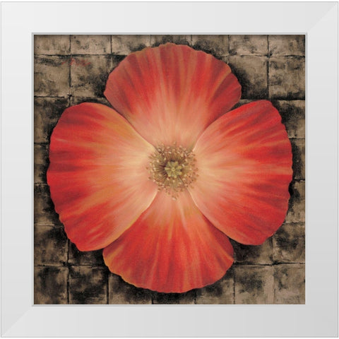 Red Poppy I White Modern Wood Framed Art Print by Unknown