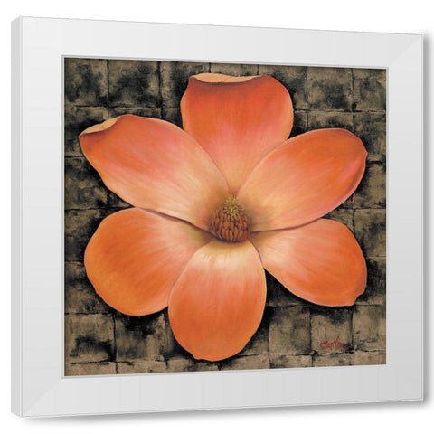 Red Poppy II White Modern Wood Framed Art Print by Unknown