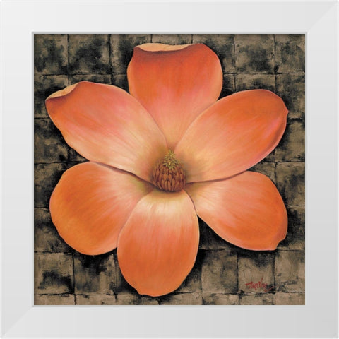 Red Poppy II White Modern Wood Framed Art Print by Unknown