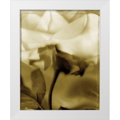 Flower Focus I White Modern Wood Framed Art Print by Unknown