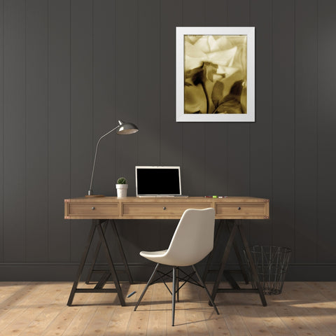 Flower Focus II White Modern Wood Framed Art Print by Unknown
