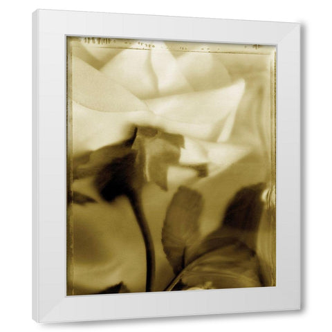 Flower Focus II White Modern Wood Framed Art Print by Unknown