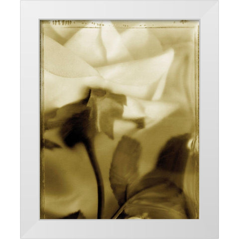 Flower Focus II White Modern Wood Framed Art Print by Unknown