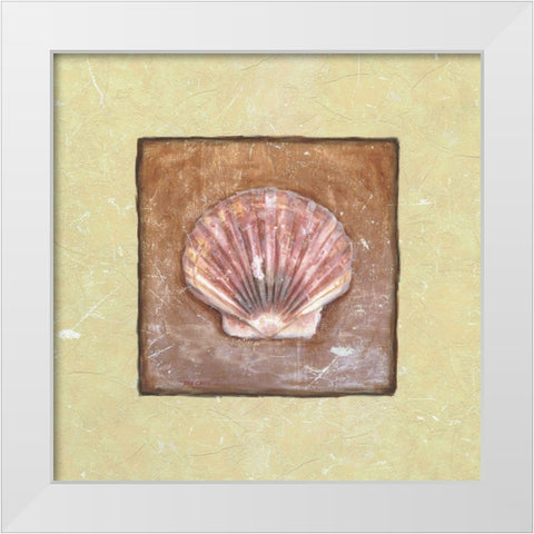 Sea Shell White Modern Wood Framed Art Print by Unknown