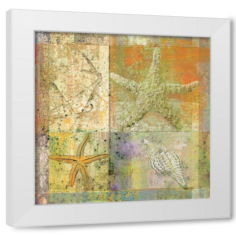 Starfish Collage White Modern Wood Framed Art Print by Unknown
