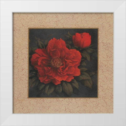 Red Carnation with Border I White Modern Wood Framed Art Print by Unknown