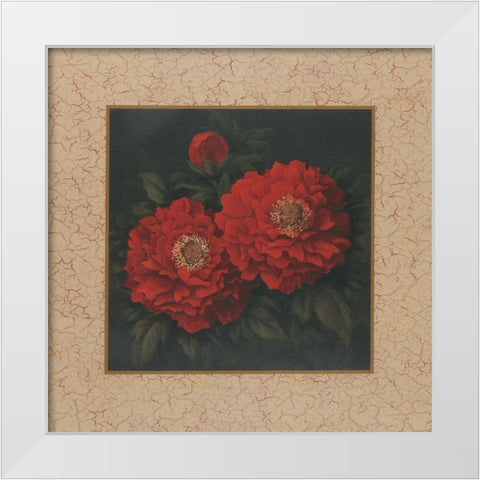 Red Carnation with Border II White Modern Wood Framed Art Print by Unknown