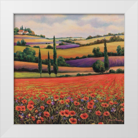 Fields of Poppies I White Modern Wood Framed Art Print by Unknown
