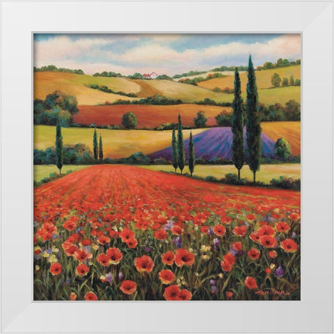 Fields of Poppies II White Modern Wood Framed Art Print by Unknown