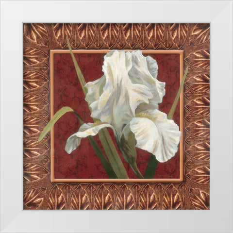 Iris in Red/Gold White Modern Wood Framed Art Print by Unknown