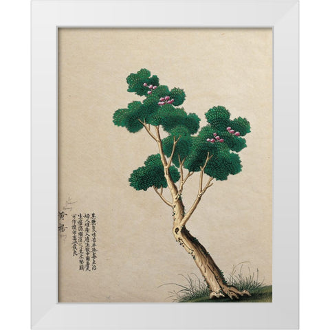 Oriental Tree White Modern Wood Framed Art Print by Unknown