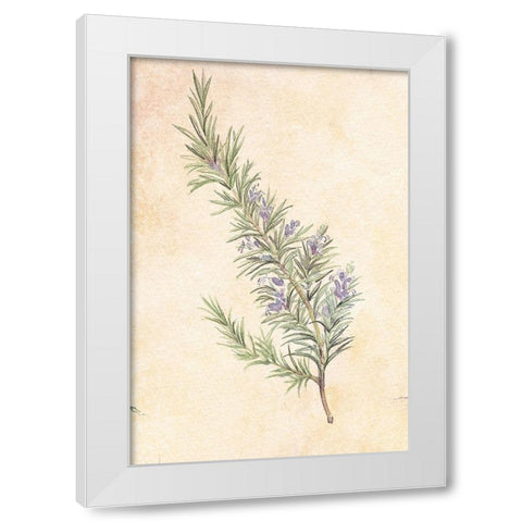 Rosemary White Modern Wood Framed Art Print by Unknown