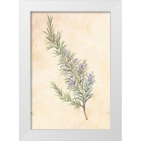 Rosemary White Modern Wood Framed Art Print by Unknown