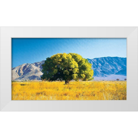 Tree on Mountain White Modern Wood Framed Art Print by Unknown