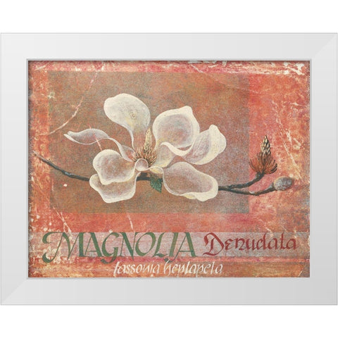 White Magnolia White Modern Wood Framed Art Print by Unknown